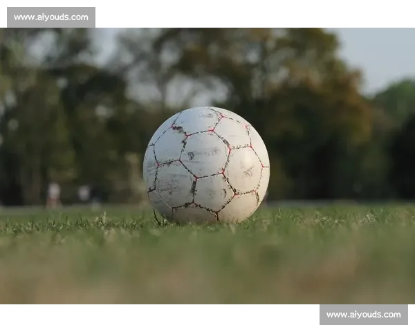 高清稳定流畅的足球直播APP下载安装到手机即看全球赛事精彩 - 副本 (22) - 副本