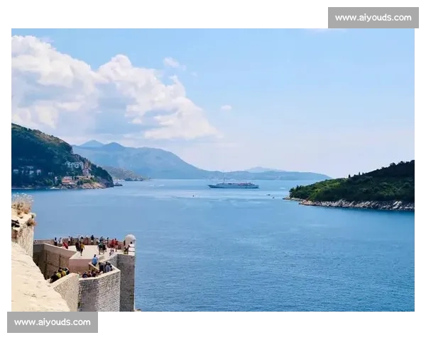 巴尔干猛虎：历史与文化的交织探索与传承